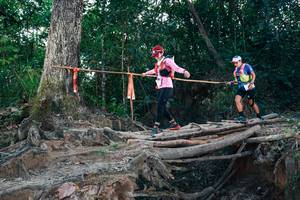 BIB: 
                            <button type="button" onclick="openModal(27313131)" class="btn btn-primary btn-sm float-right btn-popup" data-toggle="modal" data-target=".modal-high-quality">
                        <i class="fas fa-shopping-cart"></i> Add to Cart
                    </button>
                                            <button type="button" onclick="isThisMe(27313131, true)" class="btn btn-success btn-sm float-right btn-popup btn-isme hidden" data-toggle="tooltip" data-placement="bottom" title="นี่คือรูปของคุณใช่ไหม คลิกที่นี่เพื่อเอาเข้าอัลบั้ม">
                        <i class="fas fa-plus"></i> Add to album
                    </button>
                    <button type="button" onclick="isThisMe(27313131, false)" class="btn btn-warning btn-sm float-right btn-popup btn-isnotme hidden">
                        <i class="fas fa-ban"></i> Remove from album
                    </button>